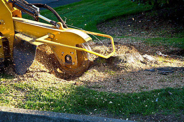 Mulching Services in Bexley, OH